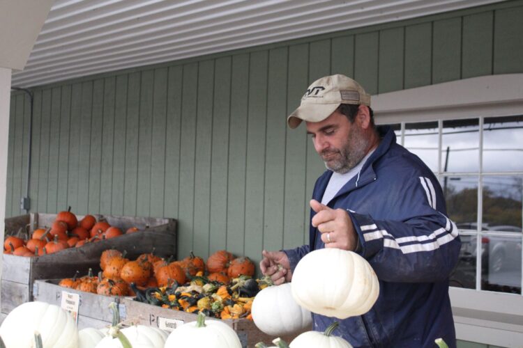 Ard’s Farm Market shares pumpkin tips, talks harvest